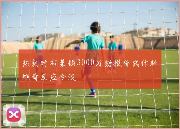 热刺对布莱顿3000万镑报价武什科维奇反应冷淡